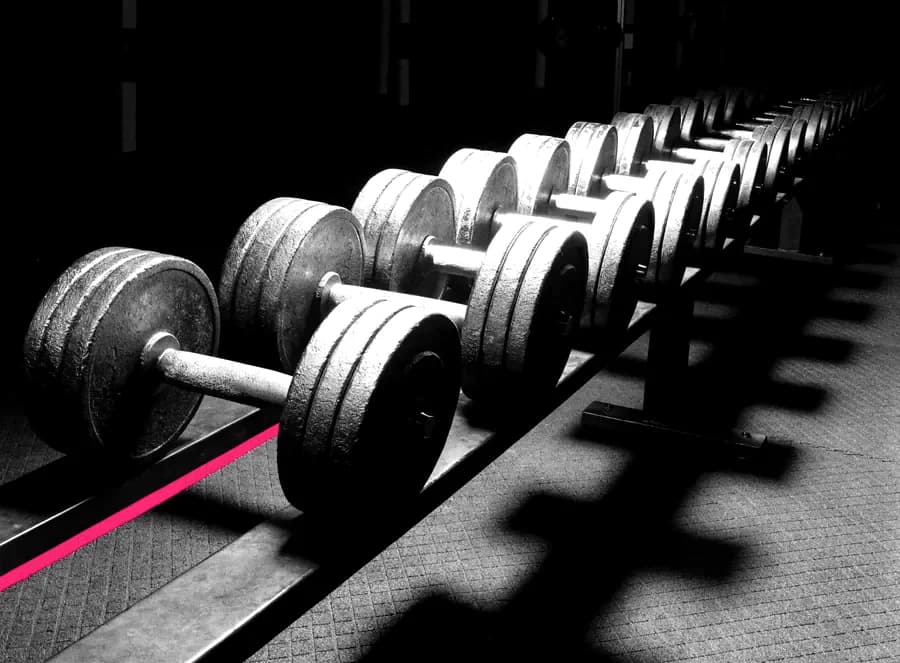 A rack of cast iron dumbbells in a dark gym